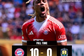 关于里程碑夜！拜仁慕尼黑豪取连胜，CBA常规赛今晨刷纪录，赛场秩序良好，训练强度显著提升的信息